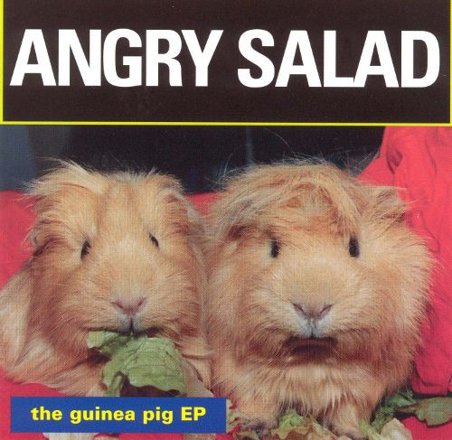 Angry Salad – The Guinea Pig EP (2000, CD) - Discogs