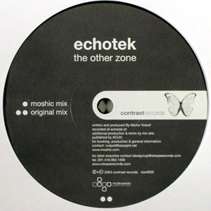 ladda ner album Echotek - The Other Zone