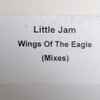 Little Jam - Wings Of The Eagle (Mixes)