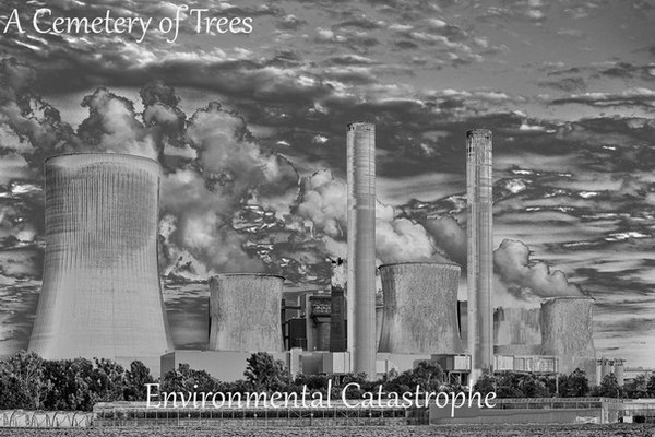 Album herunterladen A Cemetery Of Trees - Environmental Catastrophe