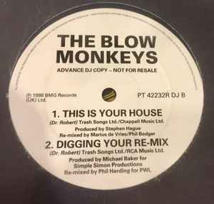 The Blow Monkeys – It Pays To Be Long (1988, Vinyl) - Discogs