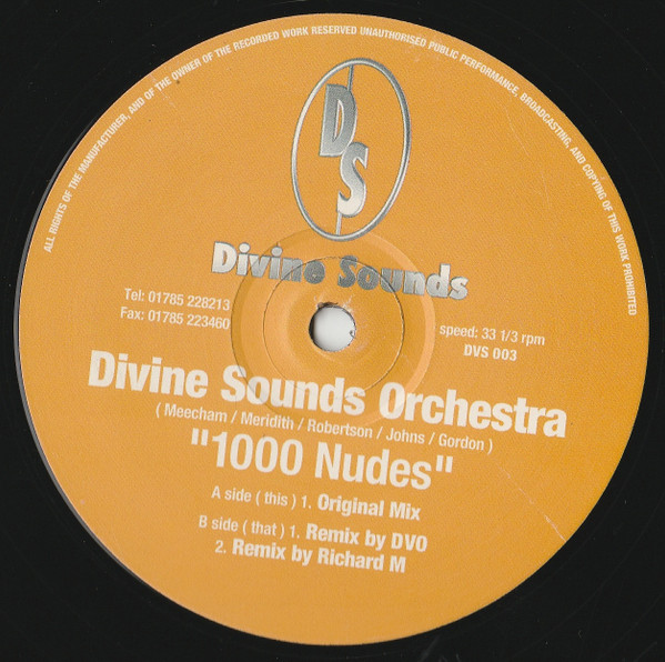 Divine Sounds Orchestra - 1000 Nudes | Releases | Discogs