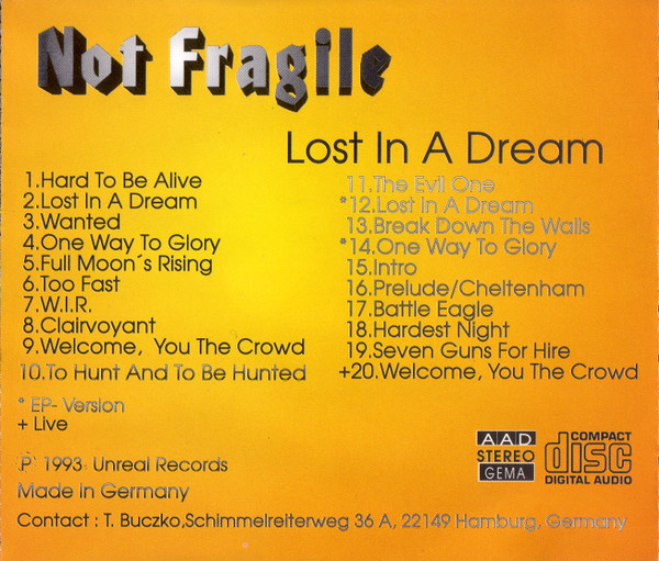 lataa albumi Not Fragile - Lost In A Dream