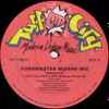 Funkmaster Wizard Wiz - Crack It Up / Can't You Take A Hint