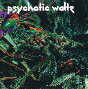 Psychotic Waltz - Mosquito