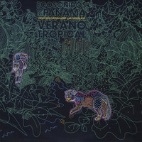 baixar álbum Jay Needham - Ecosonidos De Panama Verano Tropical Natural Sounds Of Panama Tropical Summer