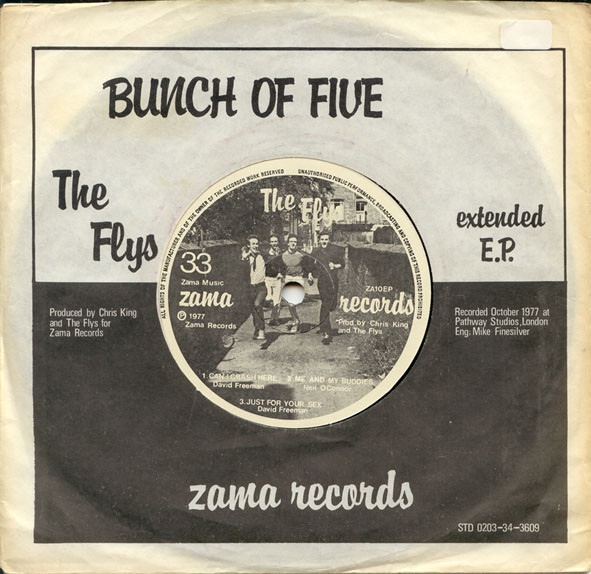 Album herunterladen The Flys - Bunch Of Five Extended