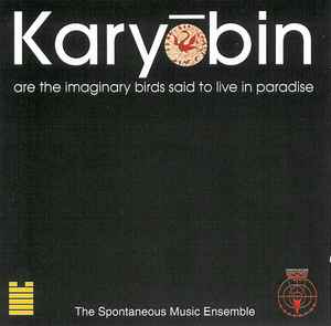 Spontaneous Music Ensemble - Karyōbin album cover