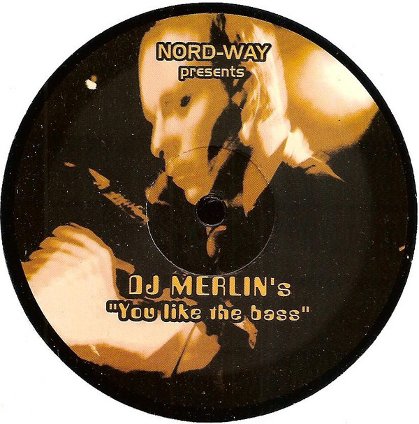 ladda ner album DJ Merlin's - You Like The Bass