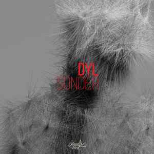 DYL (3) - Sonder album cover