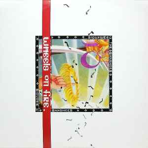 Siouxsie & The Banshees – The Passenger (1987, Paper Labels, Vinyl) -  Discogs