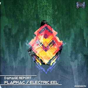 Damage Report (2) - Flapmac / Electric Eel album cover