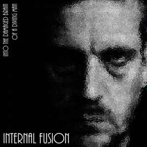 Internal Fusion - Into The Damaged Brain of A Diving Man album cover