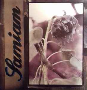 Samiam – Underground (1990, Brown Translucent, Vinyl) - Discogs