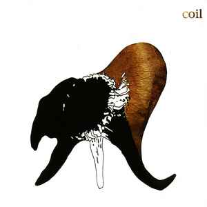 Black Antlers - Coil