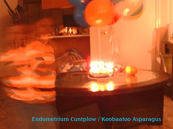 télécharger l'album Endometrium Cuntplow Koobaatoo Asparagus - Untitled