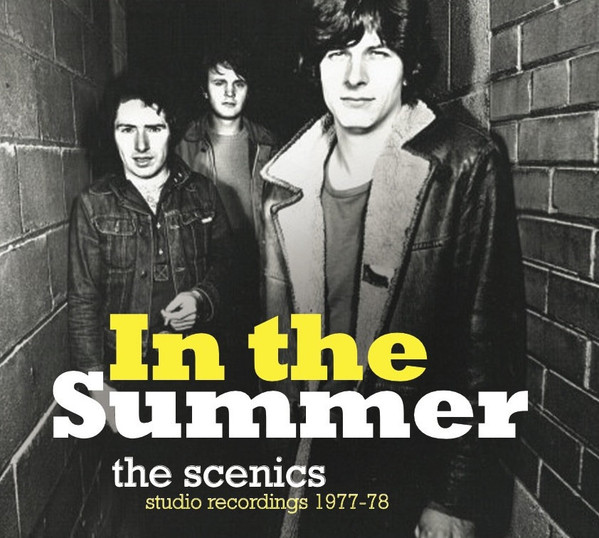 lataa albumi The Scenics - In The Summer Studio Recordings 1977 78