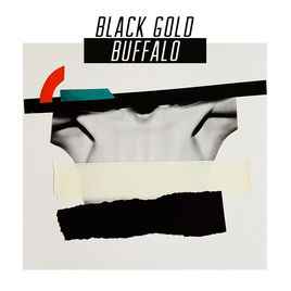 Black Gold Buffalo - Black Gold Buffalo album cover