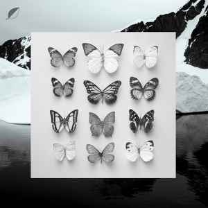 Christian Löffler - Young Alaska album cover