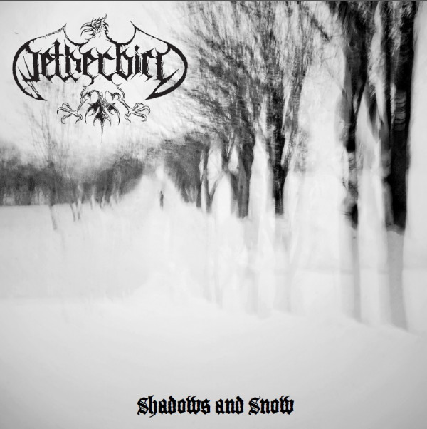 télécharger l'album Netherbird - Shadows And Snow