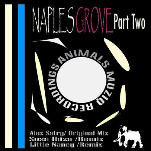 last ned album Alex Satry - Naples Groove Part Two