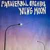 Young Moon - Paraverbal Orchids