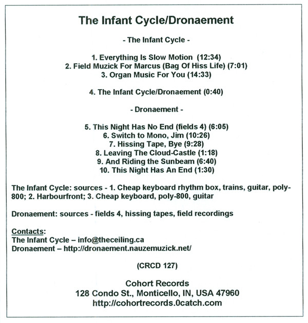 descargar álbum The Infant Cycle Dronaement - Split