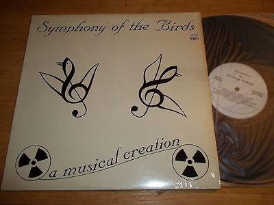 last ned album Jim Fassett - Symphony Of The Birds