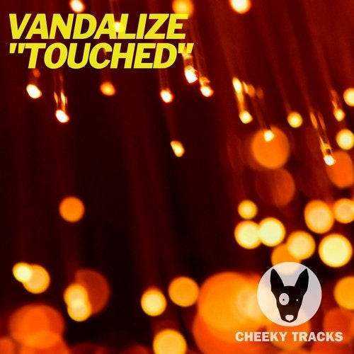 ladda ner album Vandalize - Touched