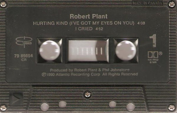 last ned album Robert Plant - Hurting Kind