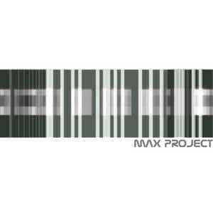 Max Project - Max Project album cover