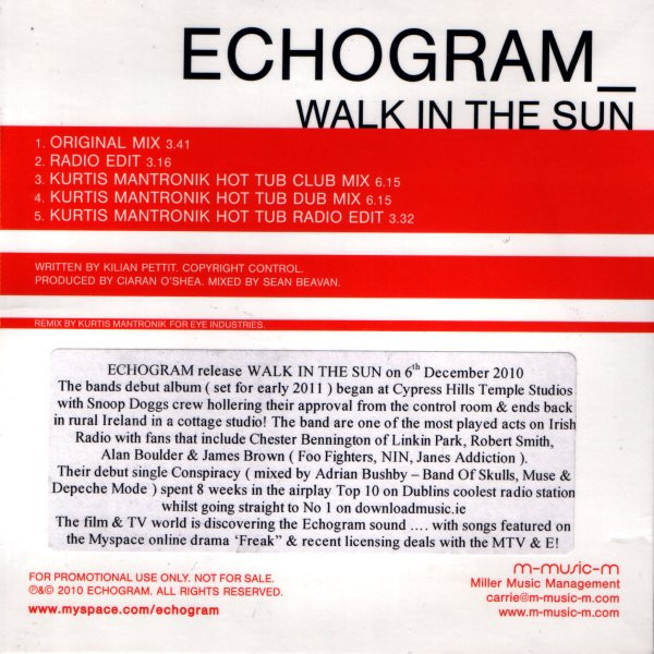 lataa albumi Echogram - Walk In The Sun