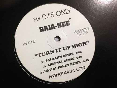 Raja-Neé – Turn It Up (1994, Vinyl) - Discogs