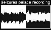 Seizures Palace on Discogs
