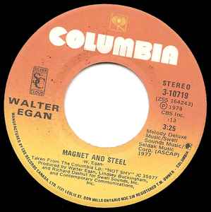 Walter Egan – Magnet And Steel / Tunnel O' Love (1978, Vinyl) - Discogs