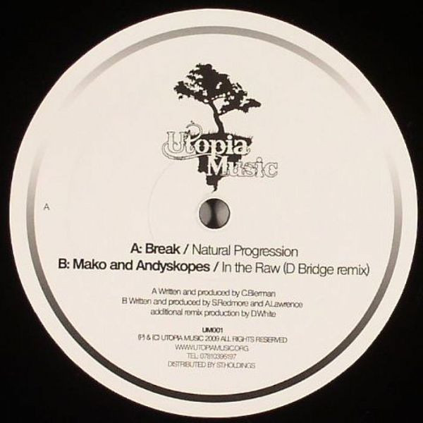 descargar álbum Break Mako And Andy Skopes - Natural Progression In The Raw D Bridge Remix