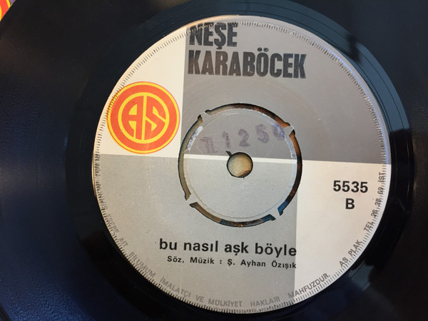 lataa albumi Neşe Karaböcek - Elveda Meyhaneci Bu Nasıl Aşk Böyle