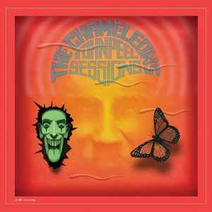 The Chameleons - John Peel Sessions album cover