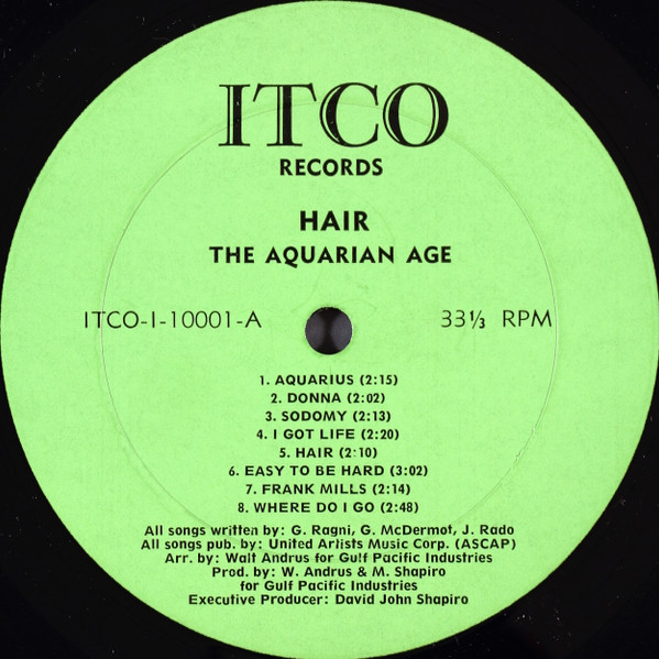 last ned album The Aquarian Age - Hair