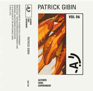 Altered Soul Experiment 06 - Patrick Gibin