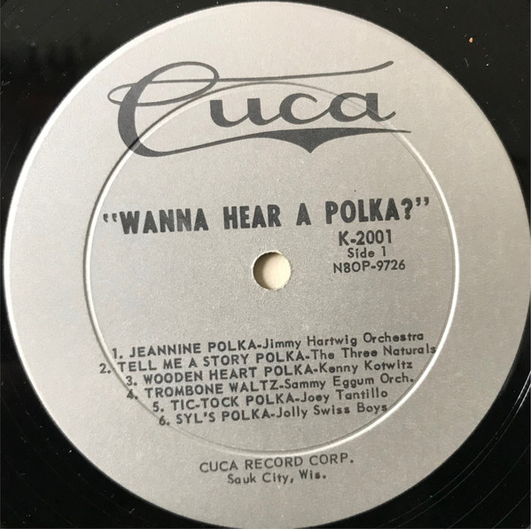 last ned album Various - Wanna Hear A Polka