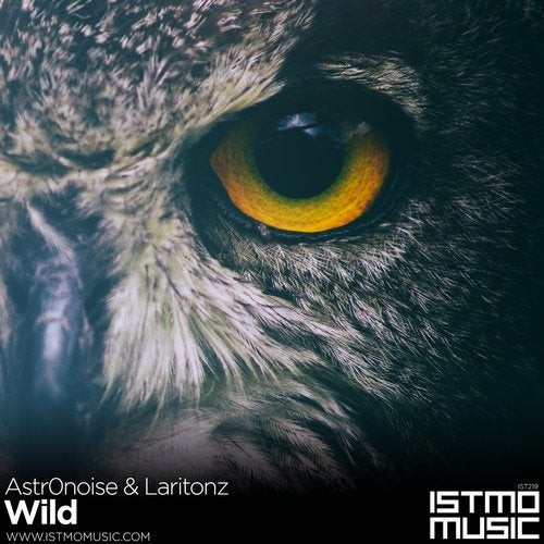 baixar álbum Astr0noise & Laritonz - Wild