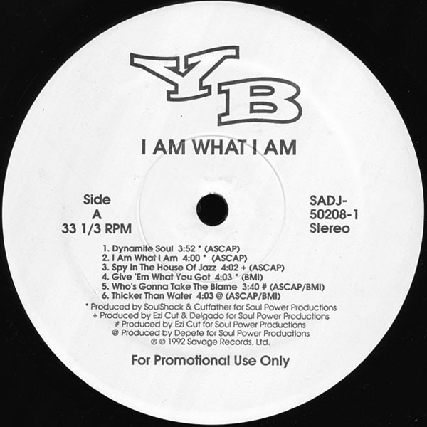 recordYB - I Am What I Am