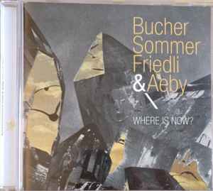 BucherSommerFriedli - Where Is Now album cover