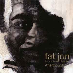 Fat Jon The Ample Soul Physician – Afterthought (2004, CD) - Discogs