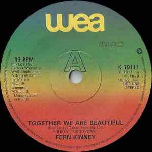 Together We Are Beautiful - Fern Kinney
