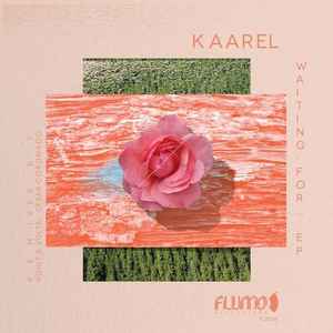 Kaarel - Waiting For album cover