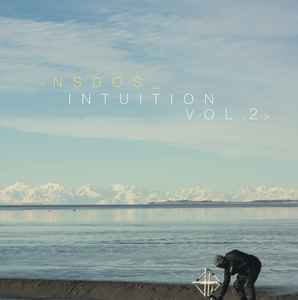 INTUITION Vol. 2 - NSDOS