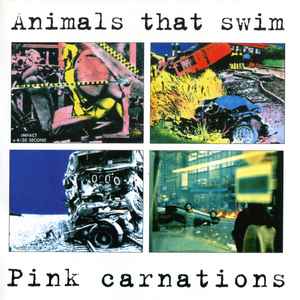 Animals That Swim - Pink Carnations