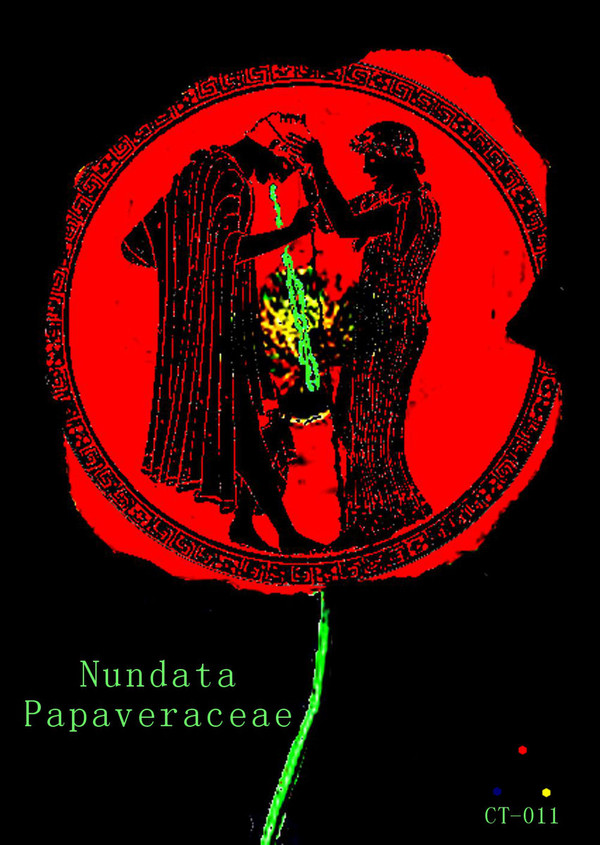 lataa albumi Nundata - Papaveraceae